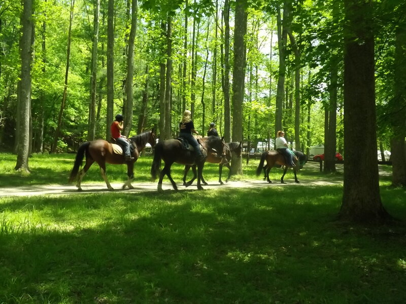 People Riding Horses — Green, Serene, Afternoon