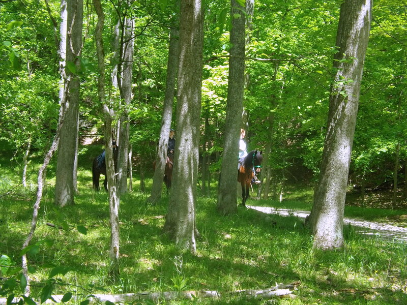 People Riding Horses — Green, Serene