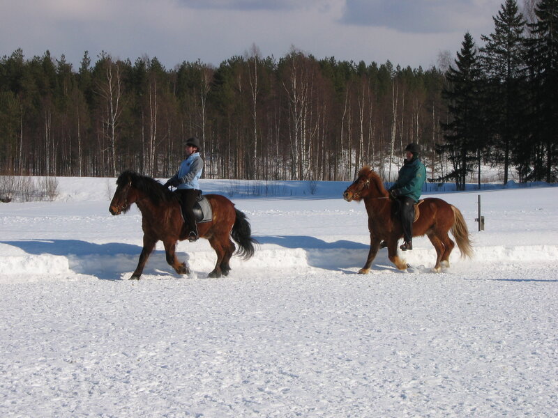 People riding horses in snow