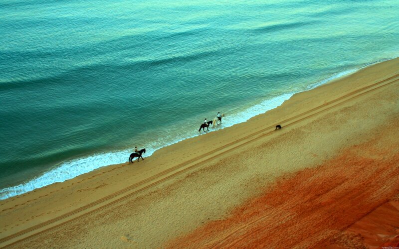 People Riding Horses on Beach — Blue