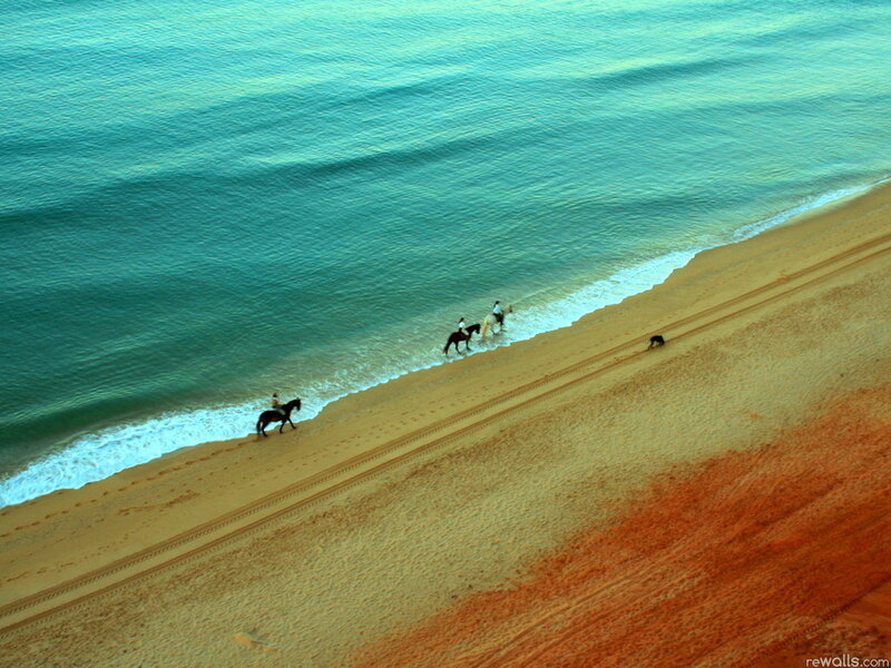People Riding Horses on Beach