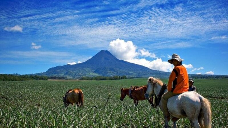People Riding Horses