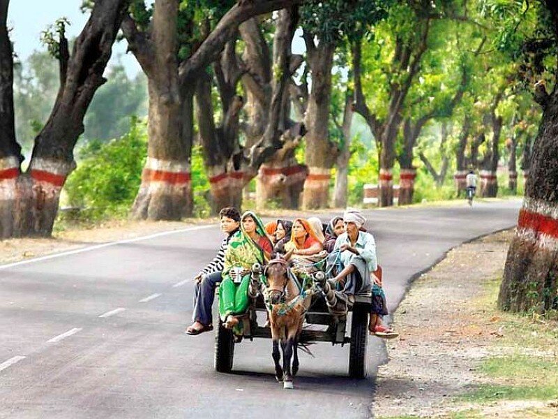 People riding in a horse-drawn cart