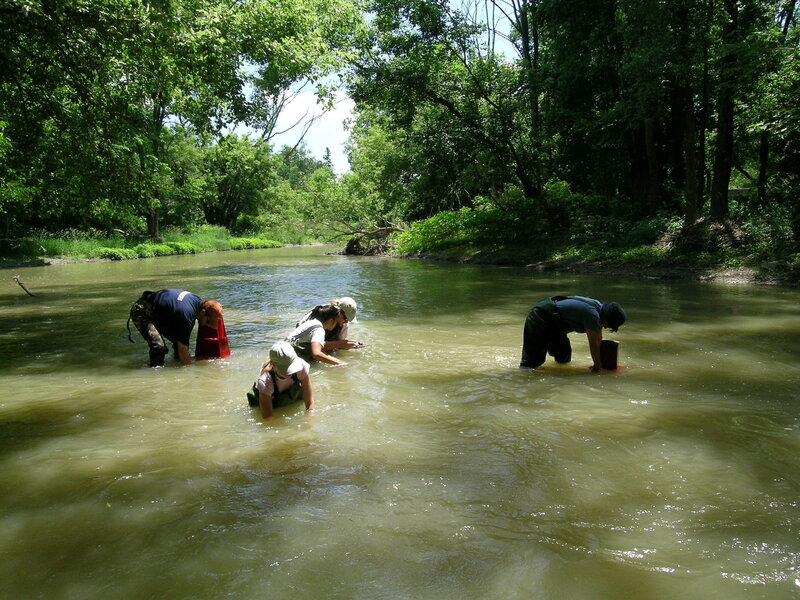 People sampling river water