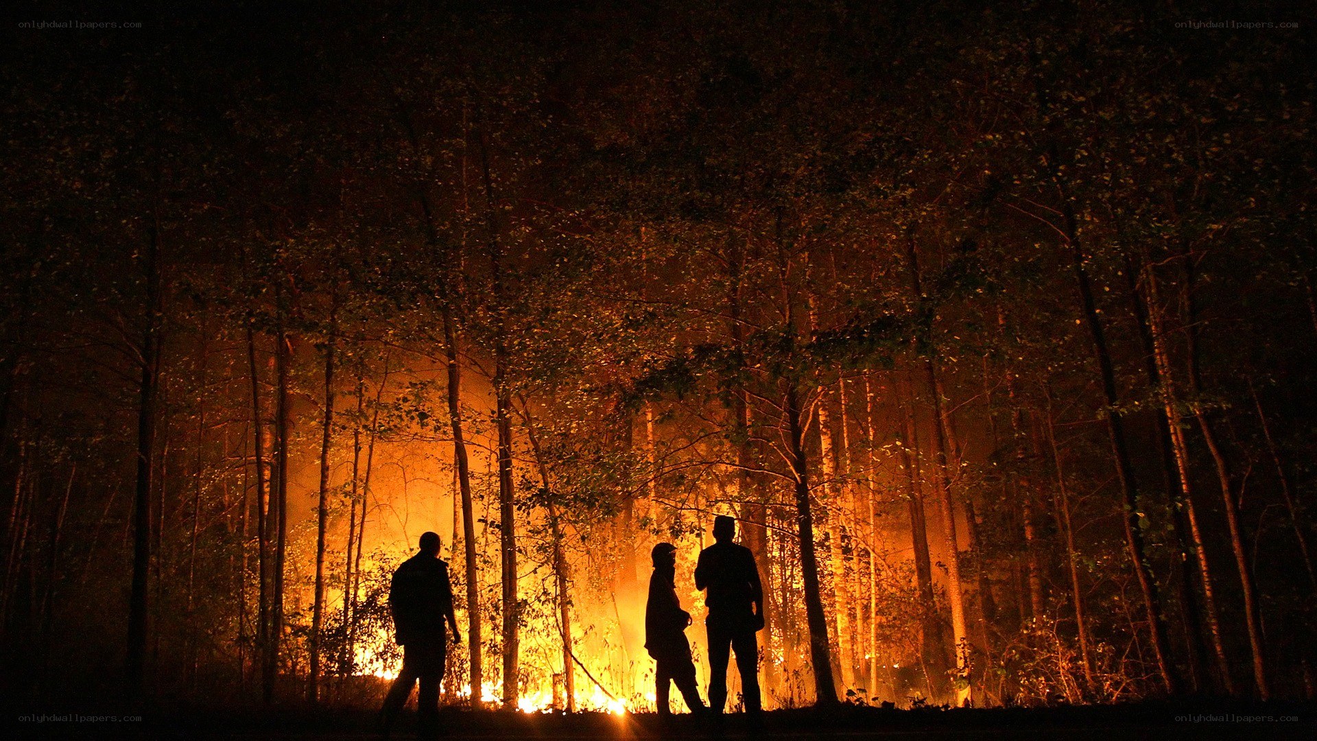 People silhouetted by forest fire