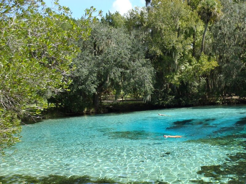 People Snorkeling in Spring
