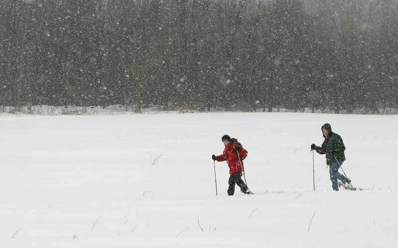 People snowshoeing in a storm
