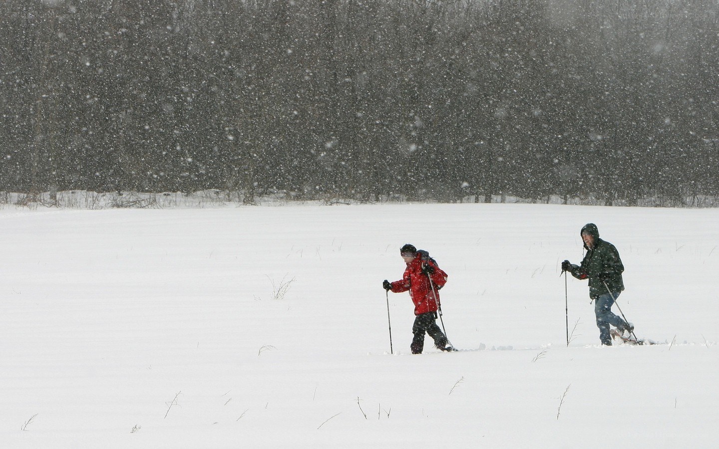 People snowshoeing in a storm