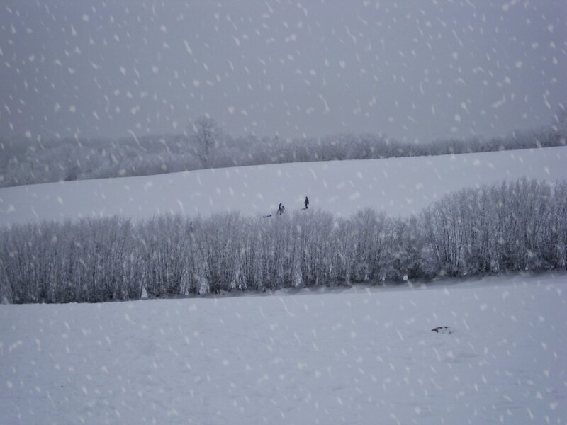 People Snowshoeing in Field
