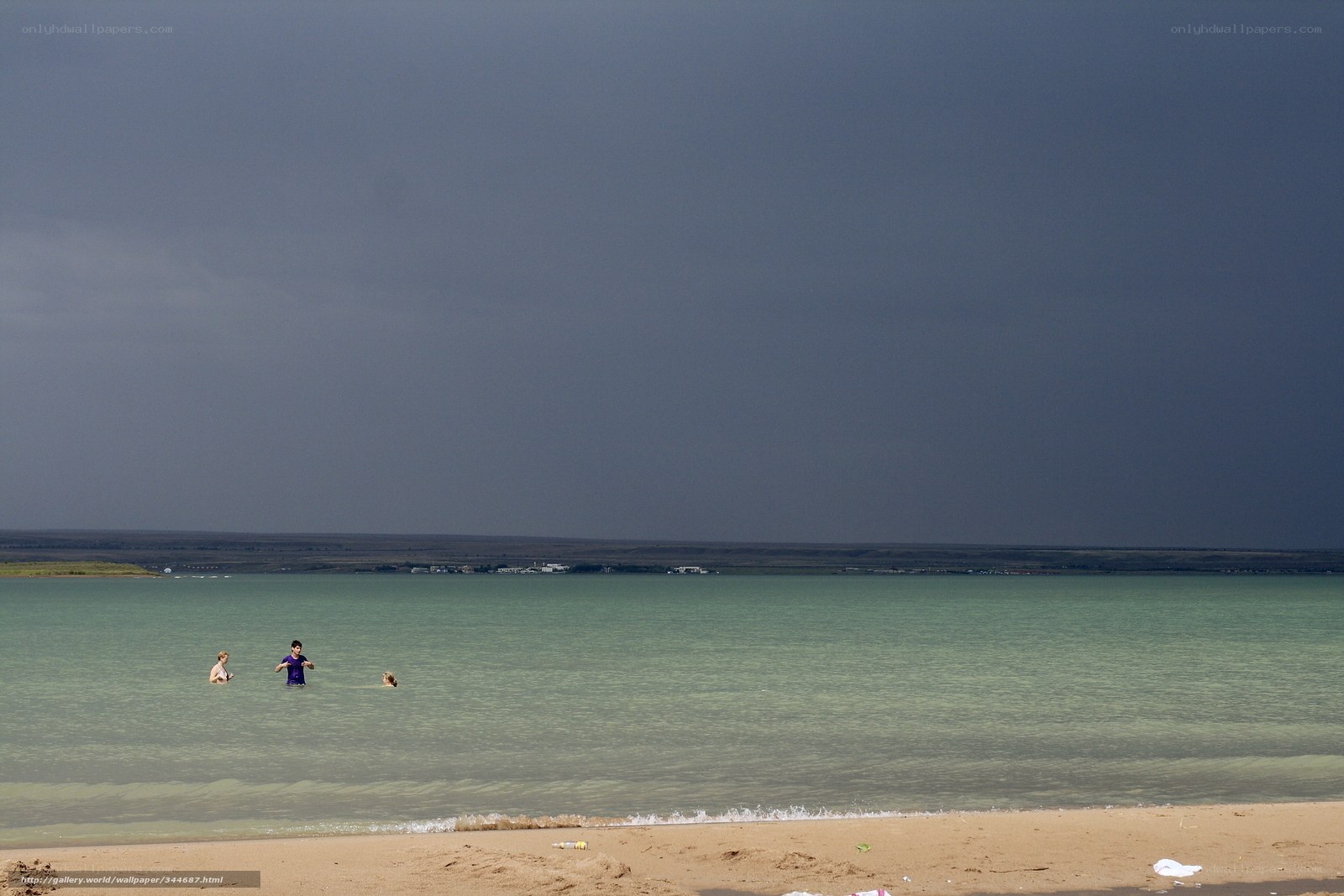 People swimming in a lake