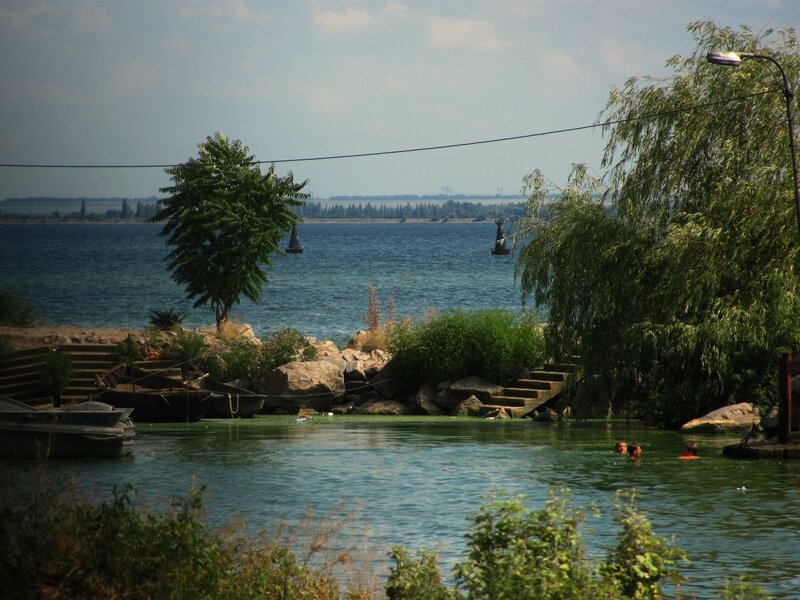 People swimming in a lake