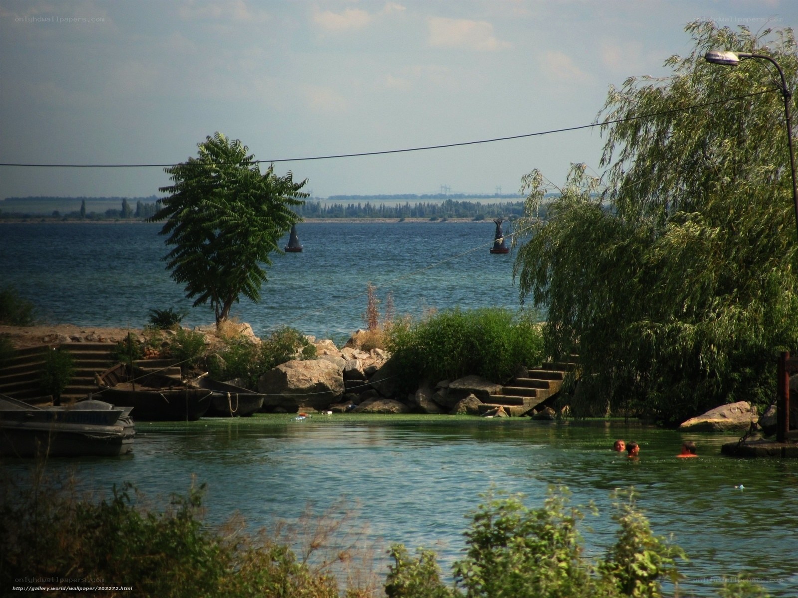 People swimming in a lake
