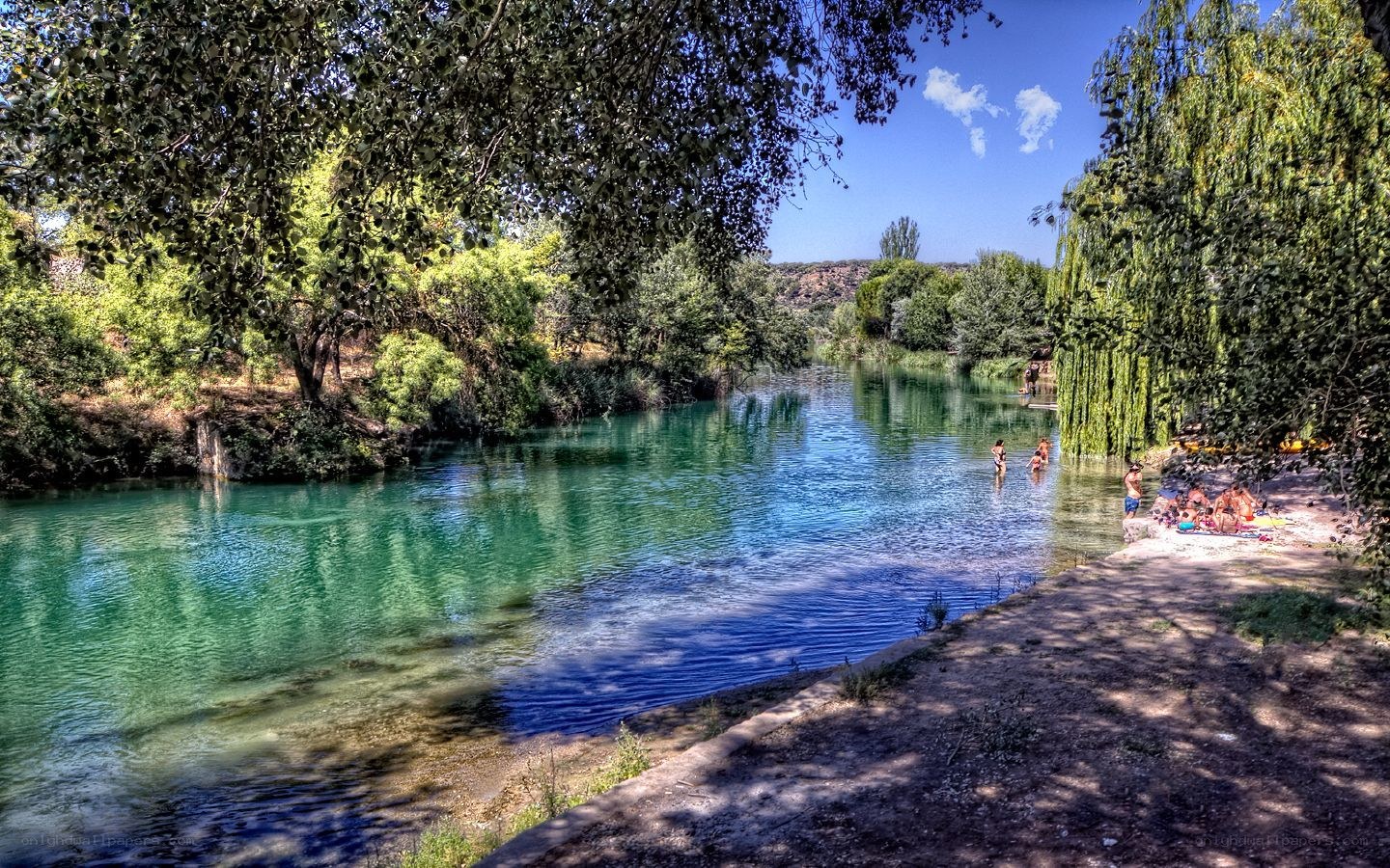 People swimming in a river