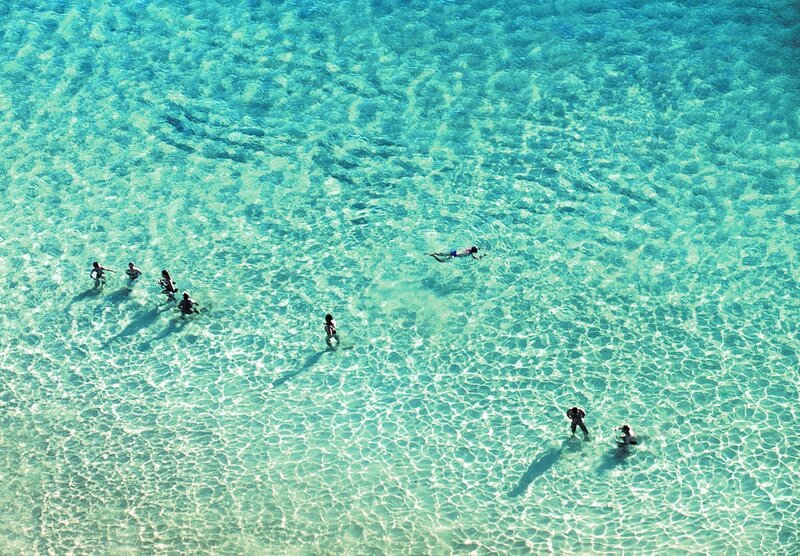 People swimming in clear water