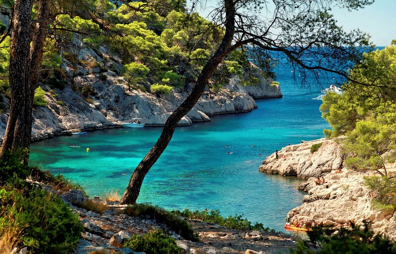People Swimming in Cove