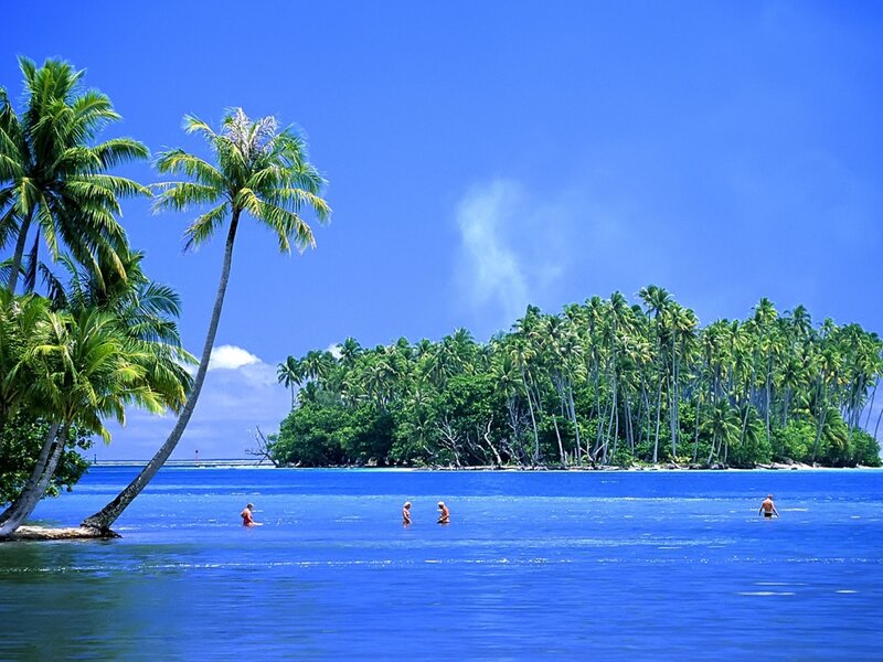 People Swimming in Ocean — Blue, Serene, Afternoon, Photograph, Palm Trees