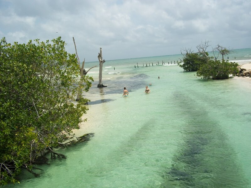 People Swimming in Shallow Water