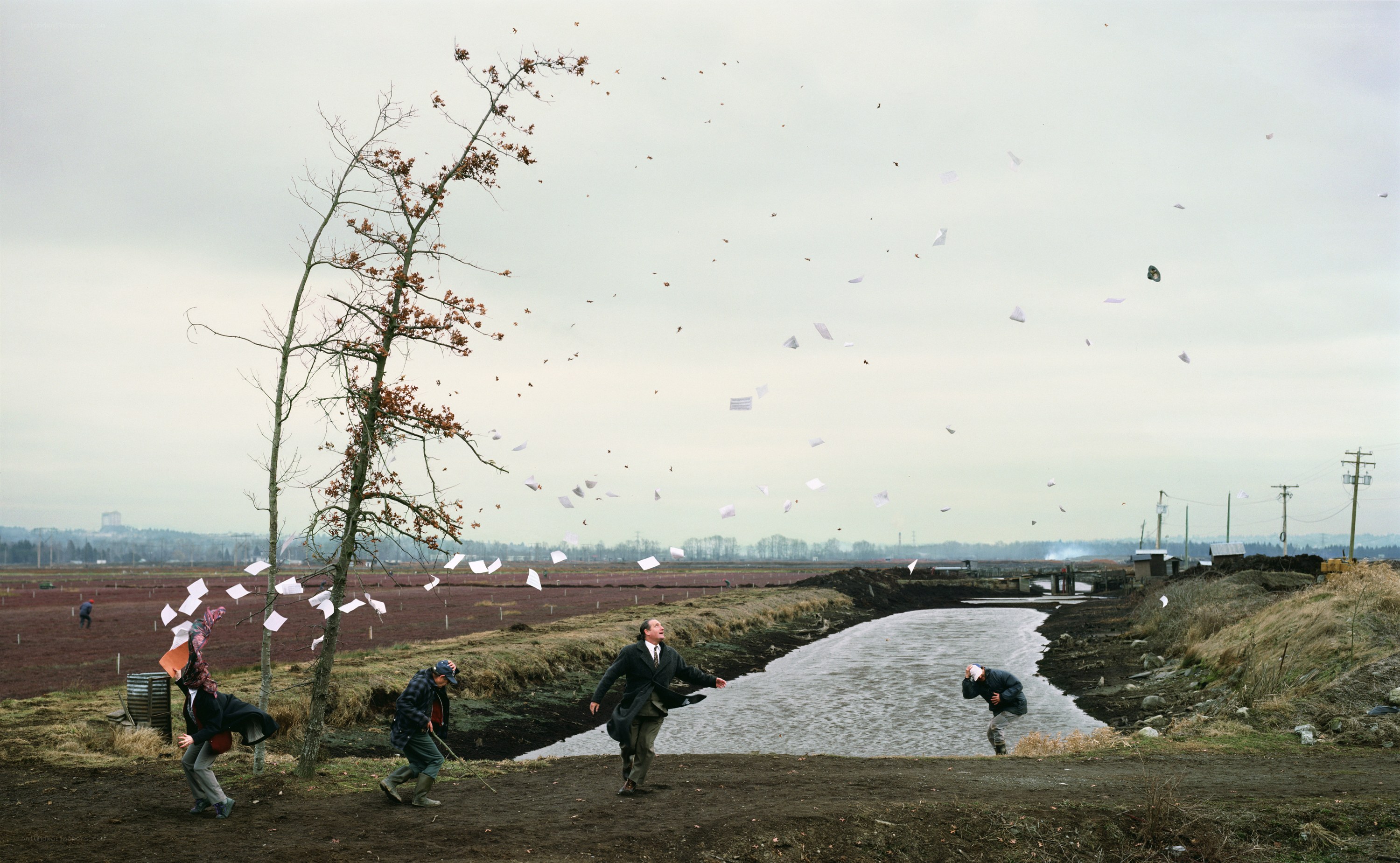 People throwing papers in a field