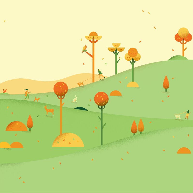 People Walking Dogs in Park — Green