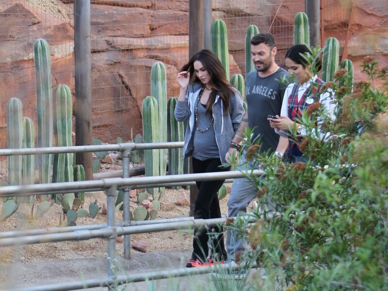 People walking in a cactus garden