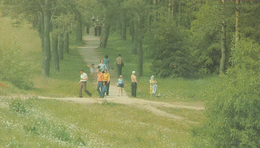 People walking in a forest path