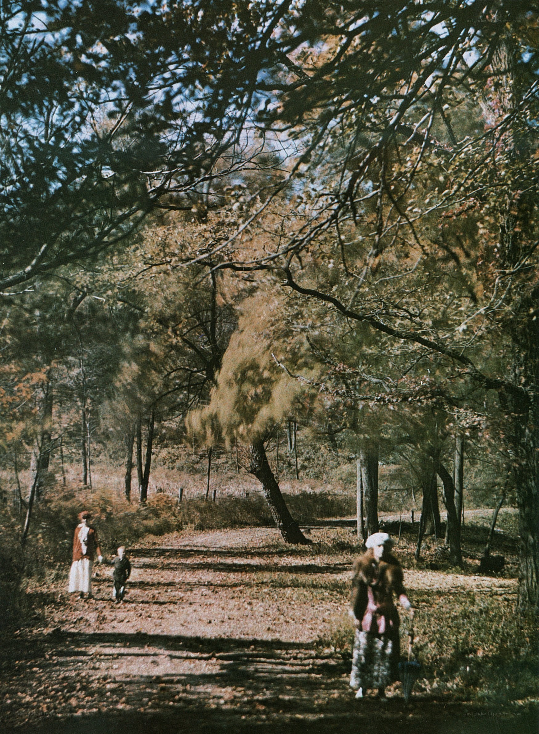 People walking in autumn forest