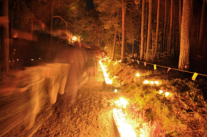 People Walking in Forest — Orange