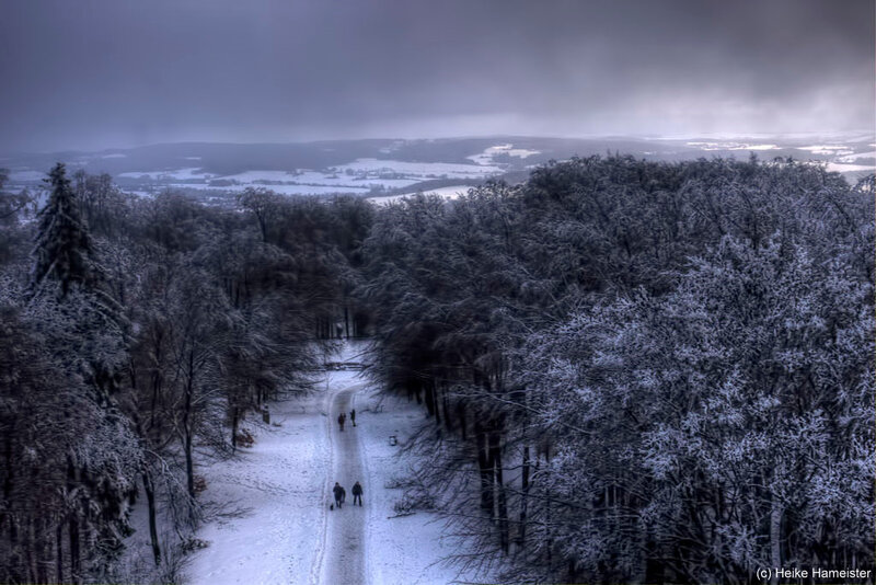 People Walking in Forest — White