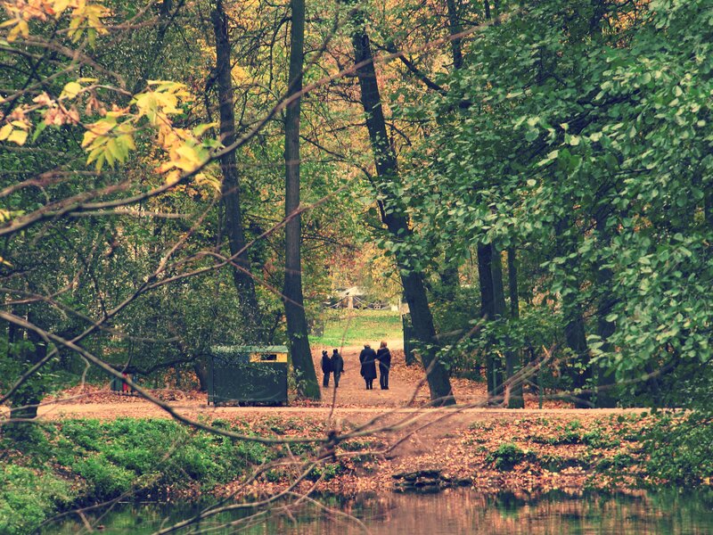 People Walking in Park — Green, Serene