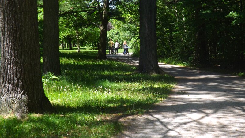 People Walking in Park — Green