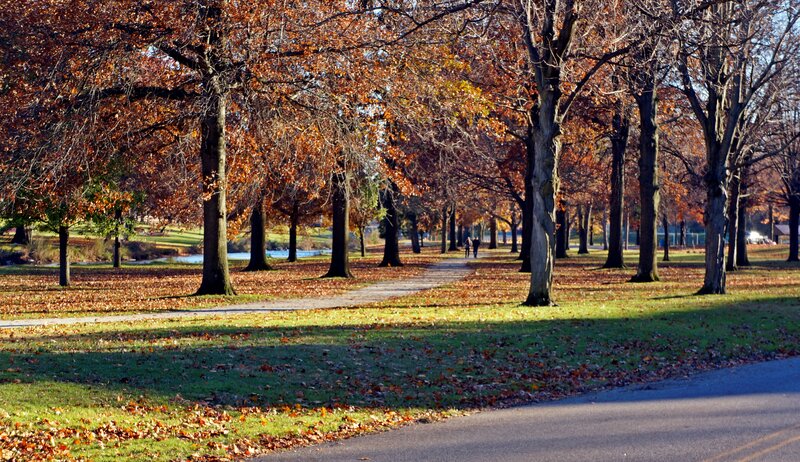 People Walking in Park — Orange