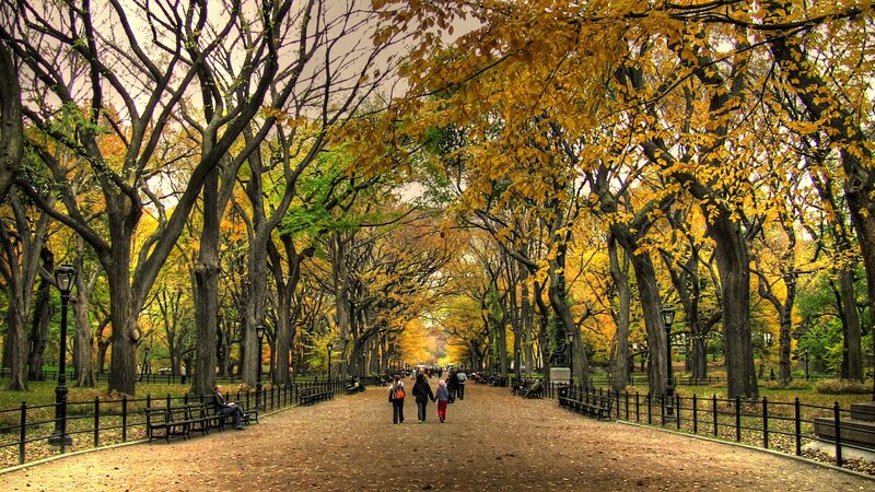 People Walking in Park