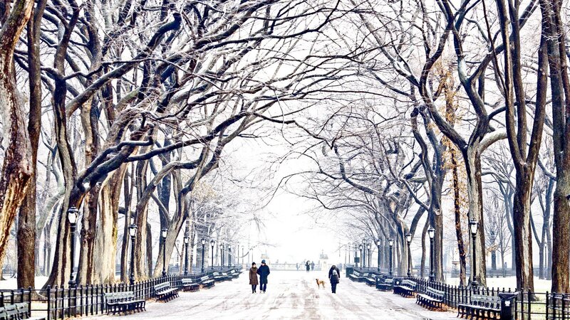 People Walking in Park — White
