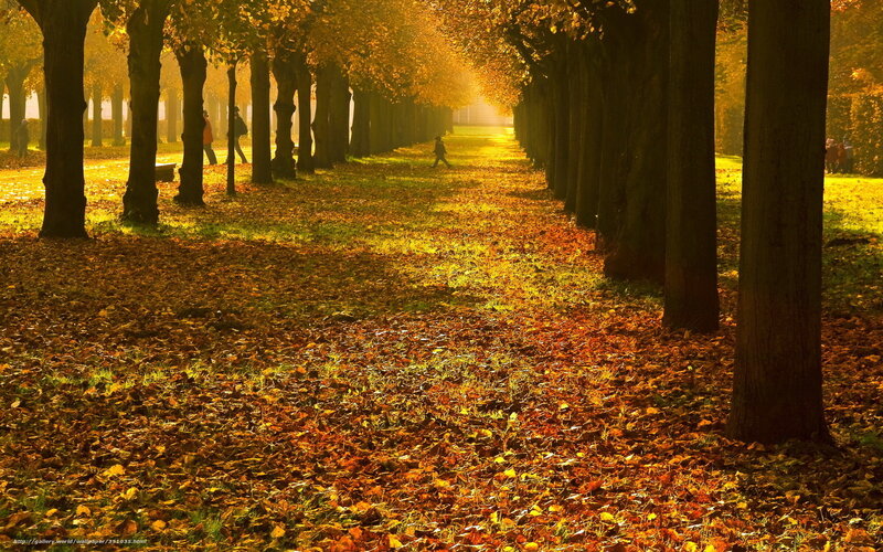 People Walking in Park — Yellow