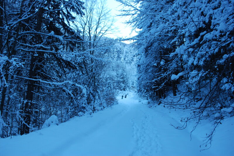 People Walking in Snow — Blue