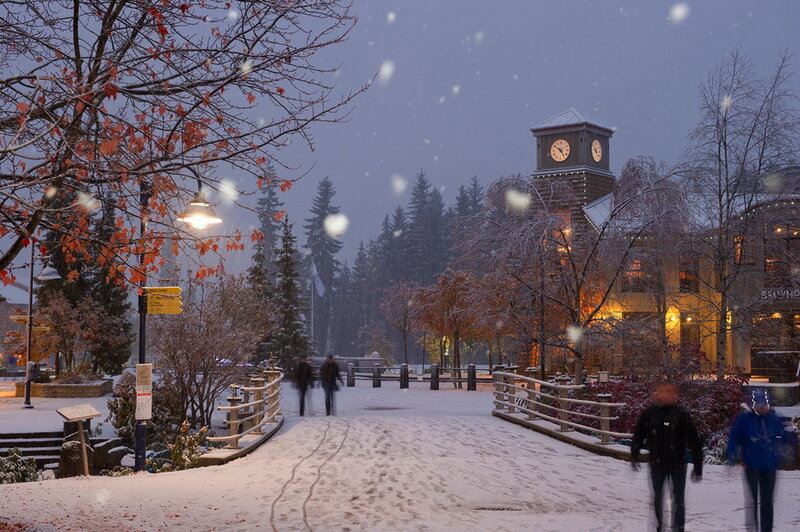 People Walking in Snow — White, Calm