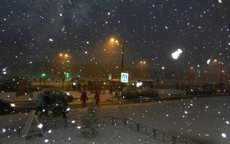 People Walking in Snow — White, Cold, Night, Photograph