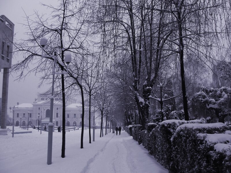 People Walking in Snow — White, Cold