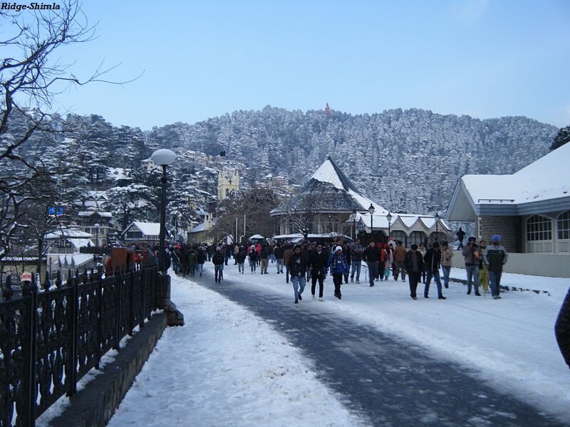 People Walking in Snow — White, Cold, Winter, Photograph