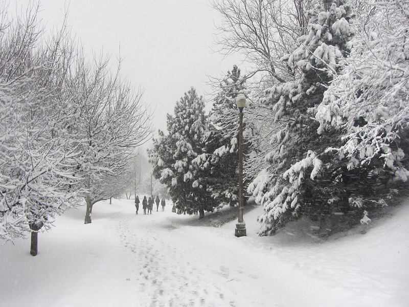 People Walking in Snow — White, Cold, Winter, Photograph, Trees