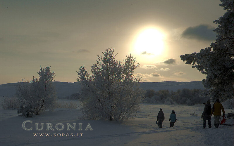 People Walking in Snow — White, Serene, Winter