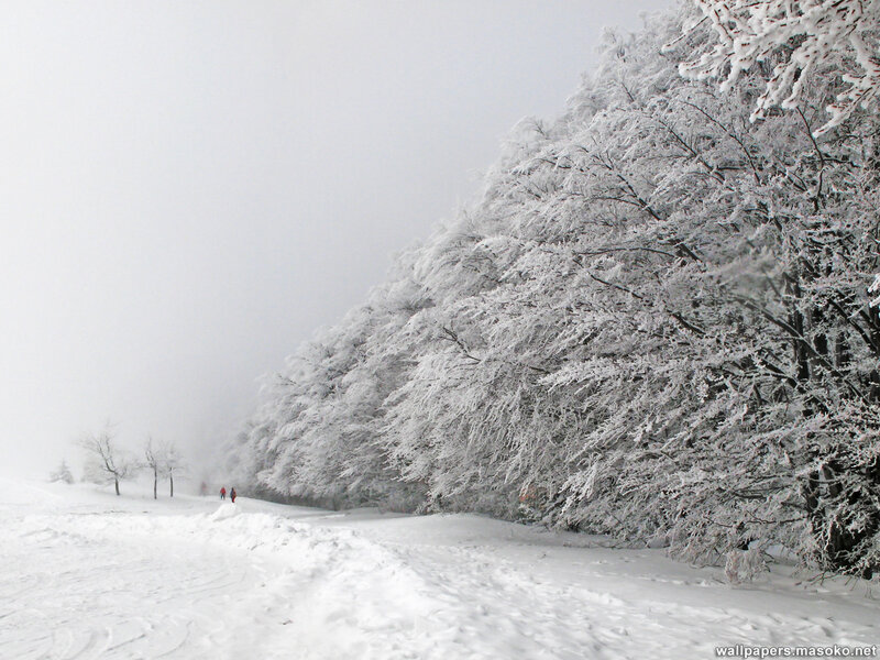 People Walking in Snow — White