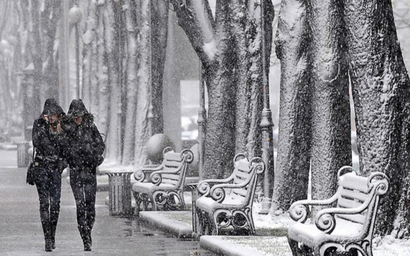 People walking in snowstorm