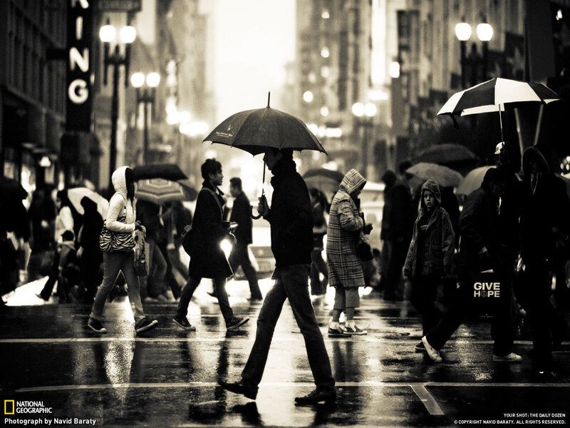 People walking in the rain
