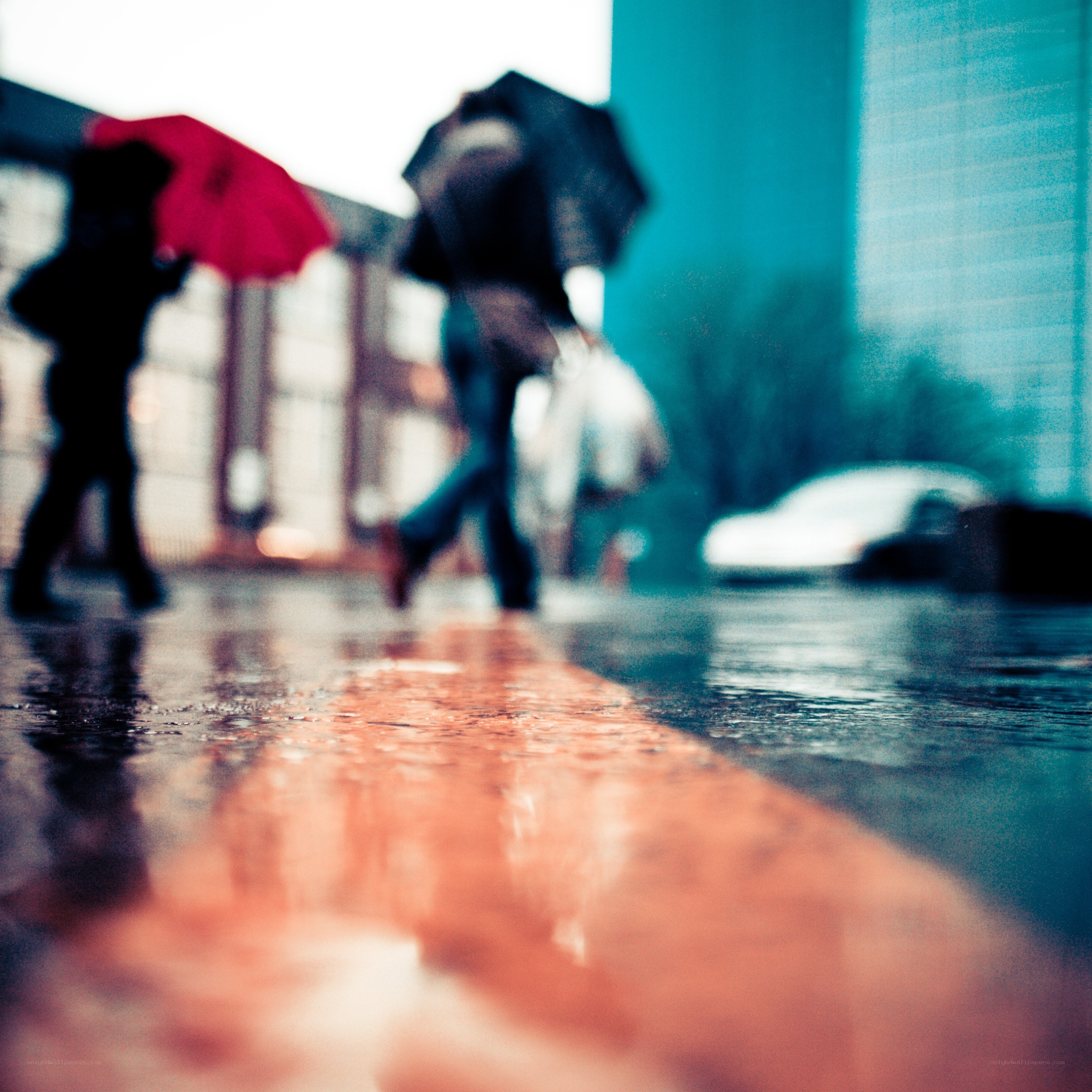 People walking in the rain