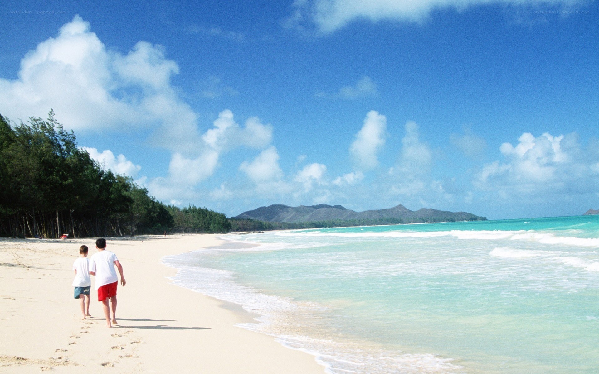 People walking on a tropical beach