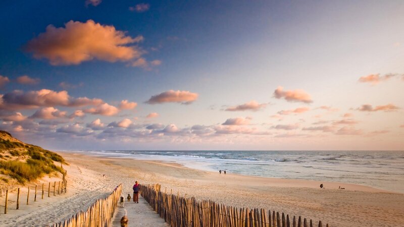 People Walking on Beach — Blue