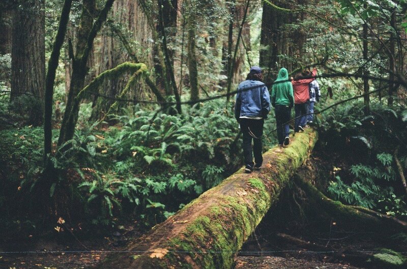 People Walking on Log