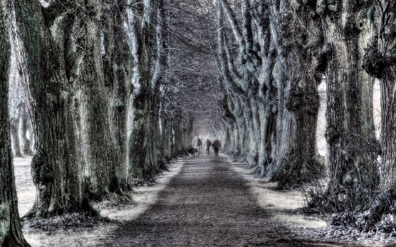 People Walking on Path — Gray