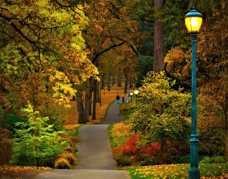 People Walking on Path — Yellow, Serene, Autumn